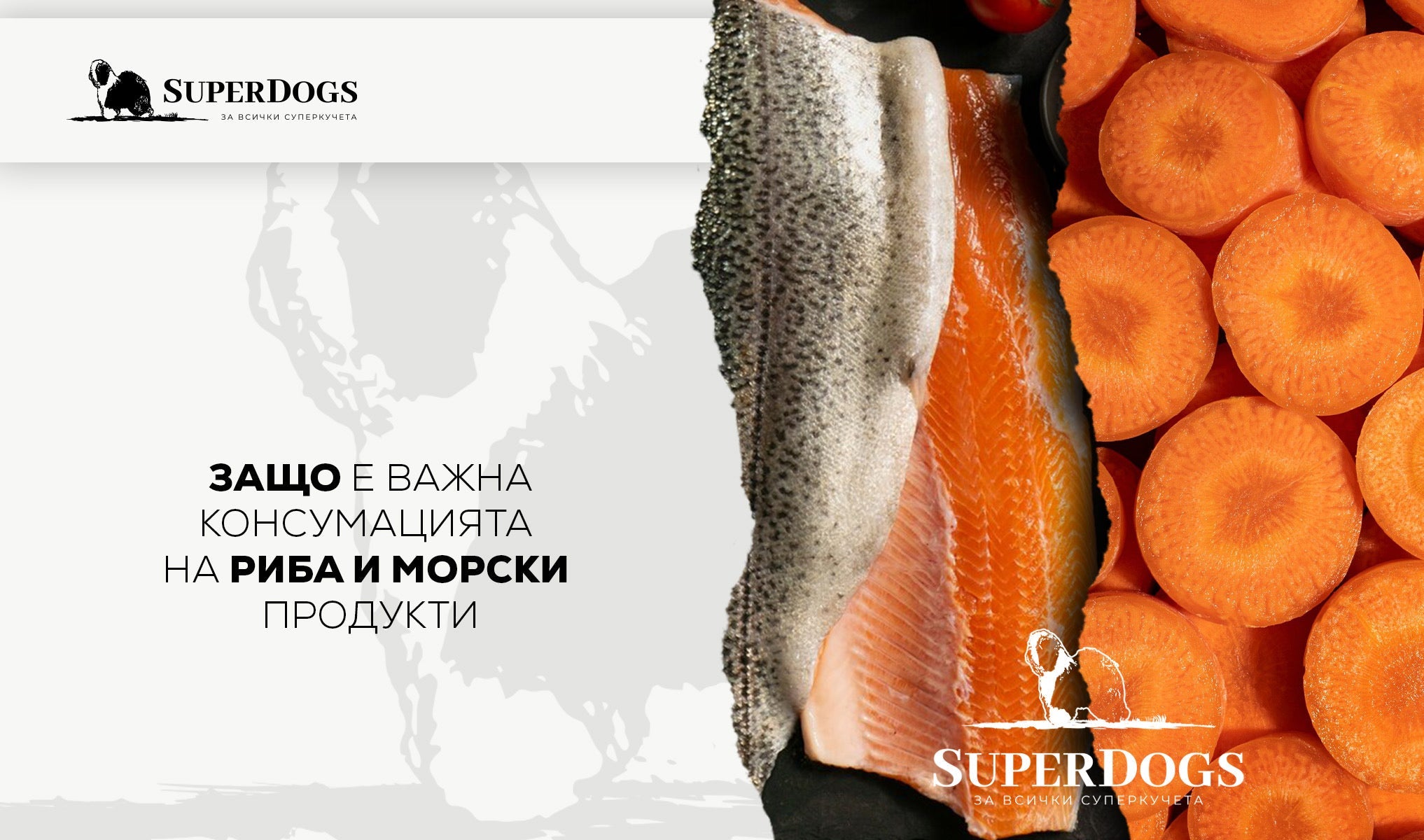 Здраве от морето