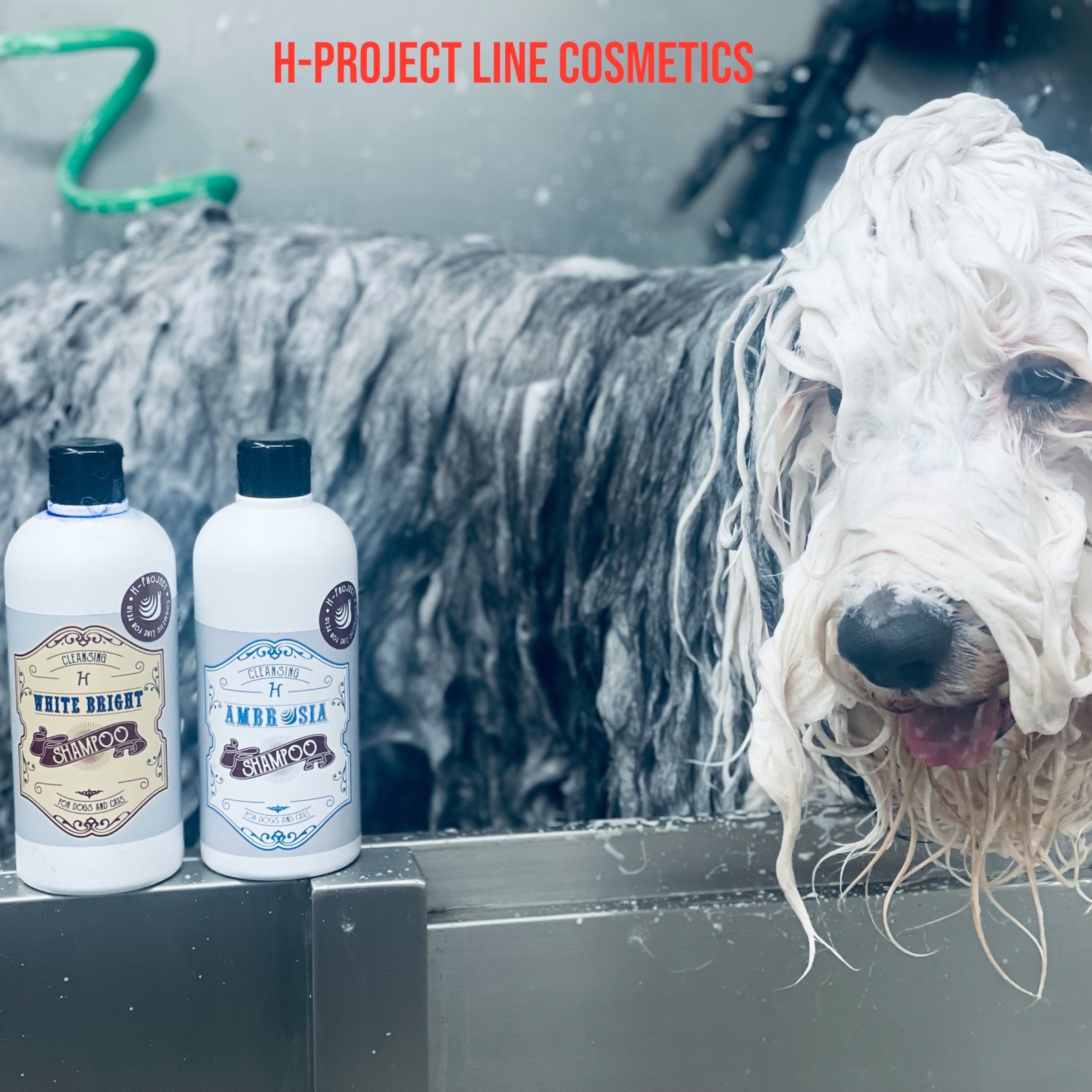 Иновативна козметика за кучета и котки H-PROJECT LINE