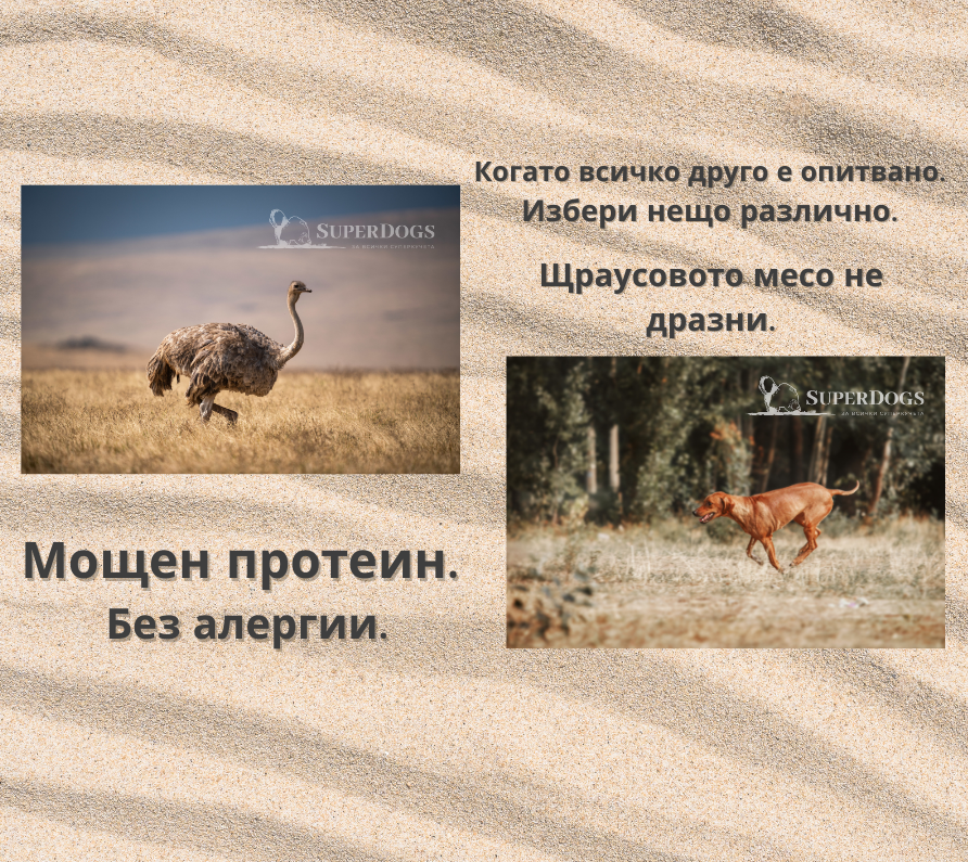 Храна с щраусово месо – мощен протеин за чувствителни кучета