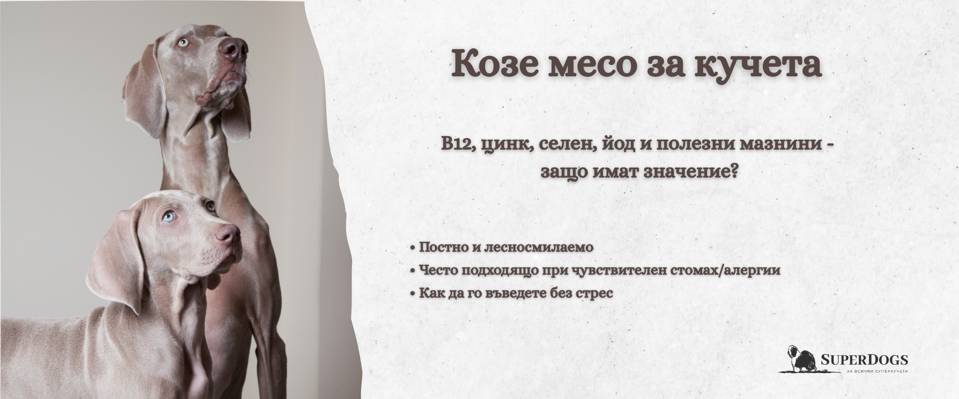 Козе месо за кучета — какво печели вашият любимец ?