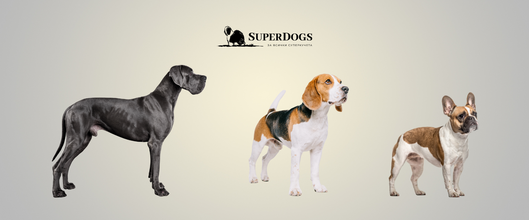 Колкото повече къпем, толкова повече мирише. Истината за късокосместите породи.