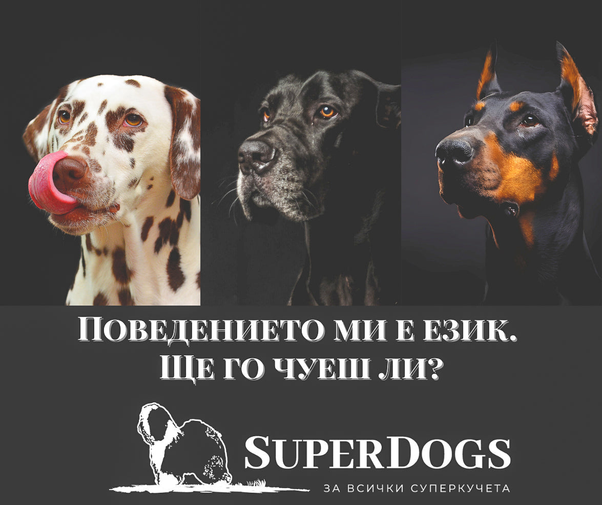 Защо лае, руши и ръмжи? Реактивно, агресивно, тревожно.