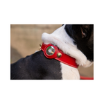 Нашийник за куче и котка FLORENZE AirTag 2 Edition Poppy Red от естествена кожа