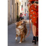 Повод за куче FLORENZE Sunset Orange от естествена кожа