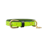 Нашийник за куче FLORENZE Meadow Green от естествена кожа