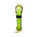 Нашийник за куче FLORENZE Meadow Green от естествена кожа